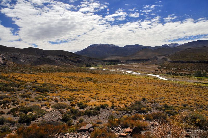 Performance. El pueblo puede cambiar de nombre